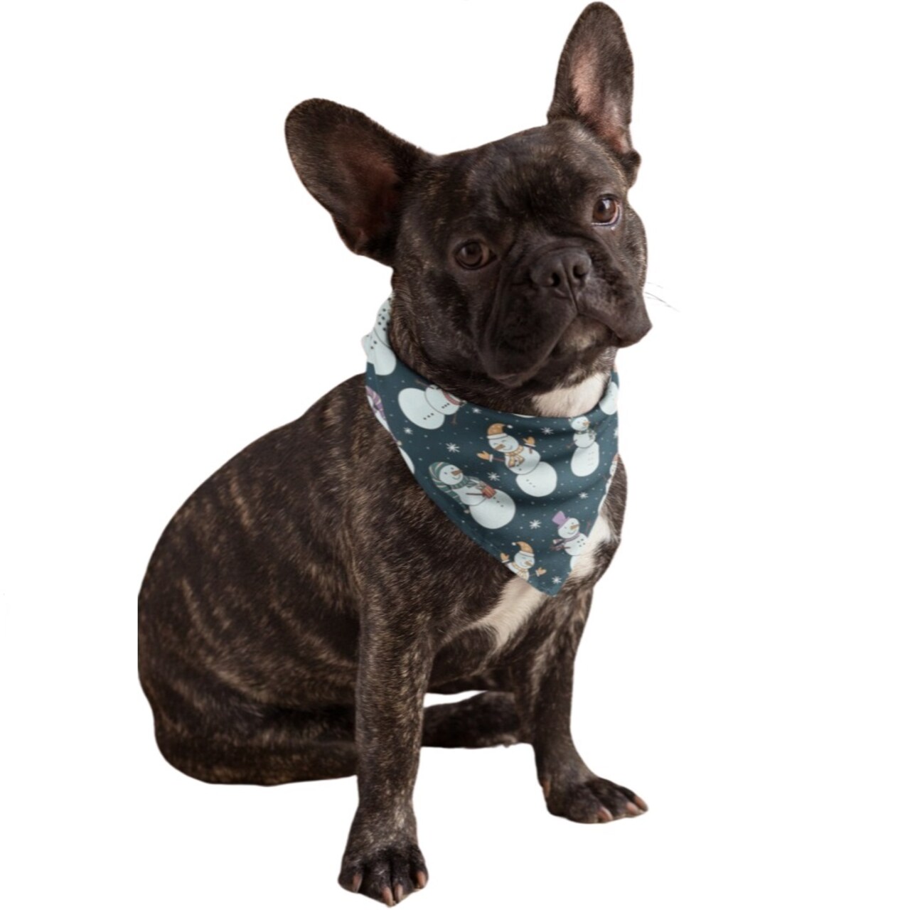 Mechaly Cotton Funny Dog Bandana with Designs Durable Birthday Pet Scarf